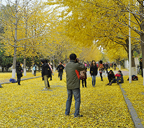 BOB体育官方入口风采展示三